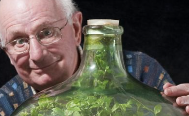 Man Creates Thriving Ecosystem Inside A Bottle That’s Been Watered Only Once Since 1960