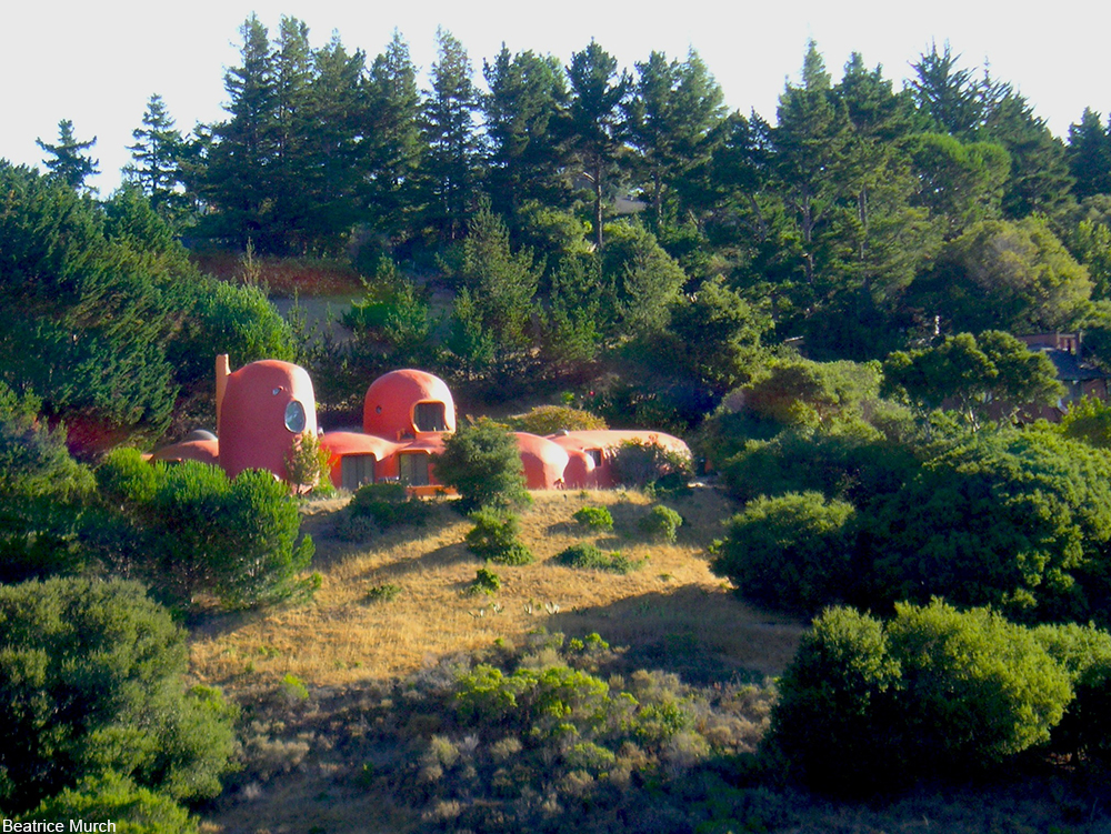 hillsborough flintstone house