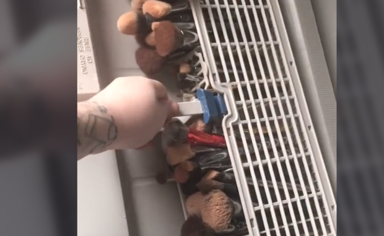 Man Puts Wife’s Makeup Brush Collection In The Dishwasher And Destroys It
