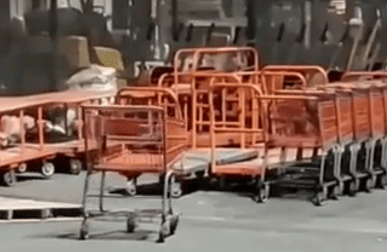 Man Makes An Incredible ‘Hole In One’ With A Shopping Cart