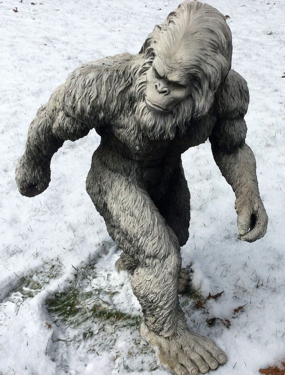 2021 Myth: Bigfoot Hunters