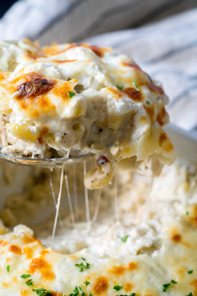 Million Dollar Chicken Alfredo Bake | 12 Tomatoes