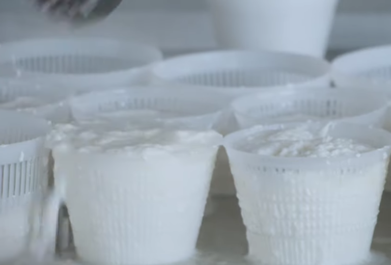 Small Italian Dairy Shows How They Make Ricotta Cheese