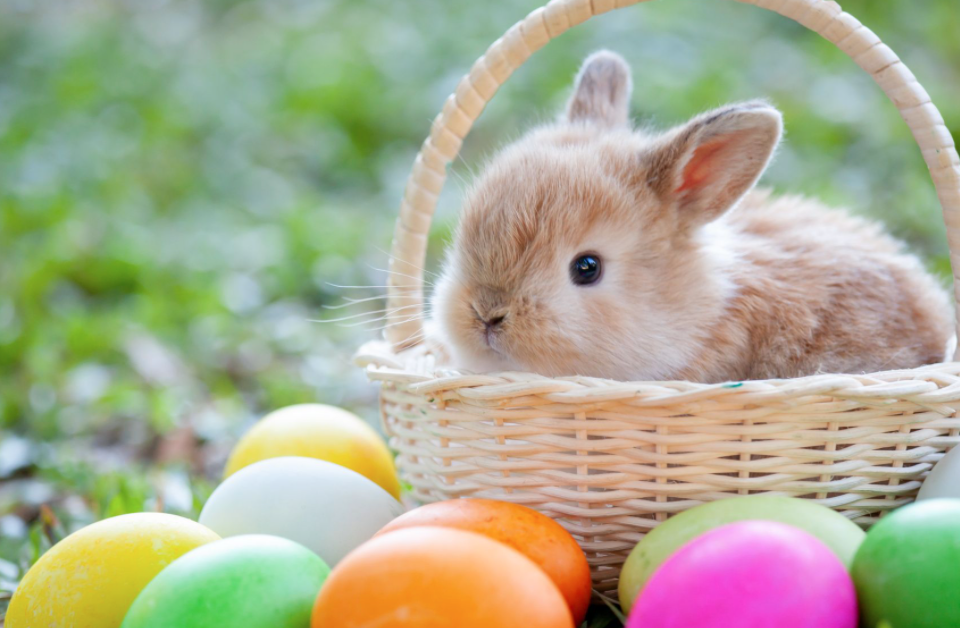 Why Does Easter Always Change Dates? 12 Tomatoes