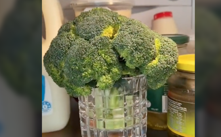 This TikTok Fridge Hack Will Keep Your Vegetables Fresh Longer