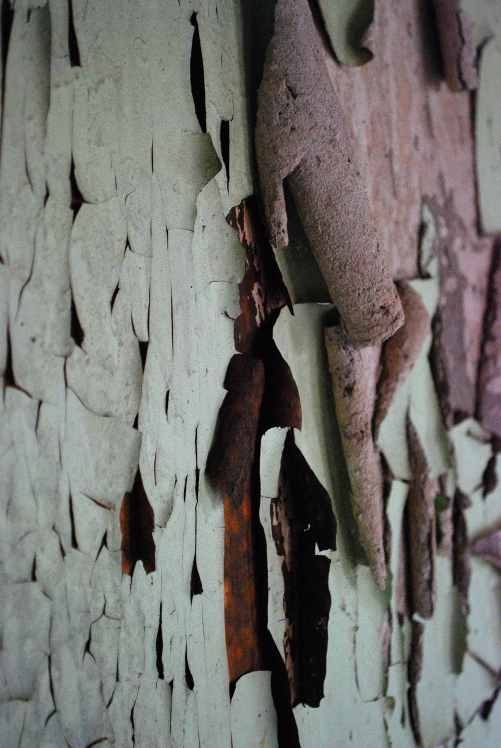 layers of peeling paint