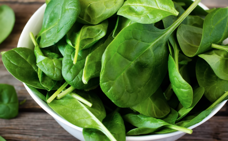 Scientists Teach Spinach How To Send Out Emails