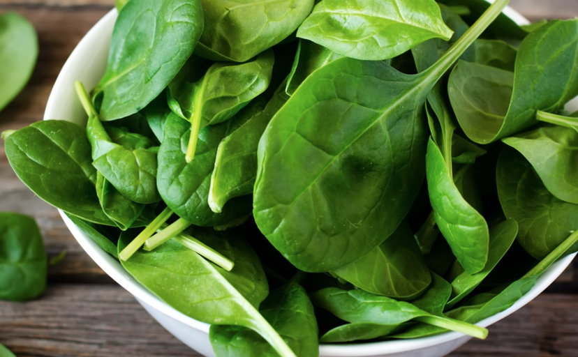 Scientists Teach Spinach How To Send Out Emails | 12 Tomatoes