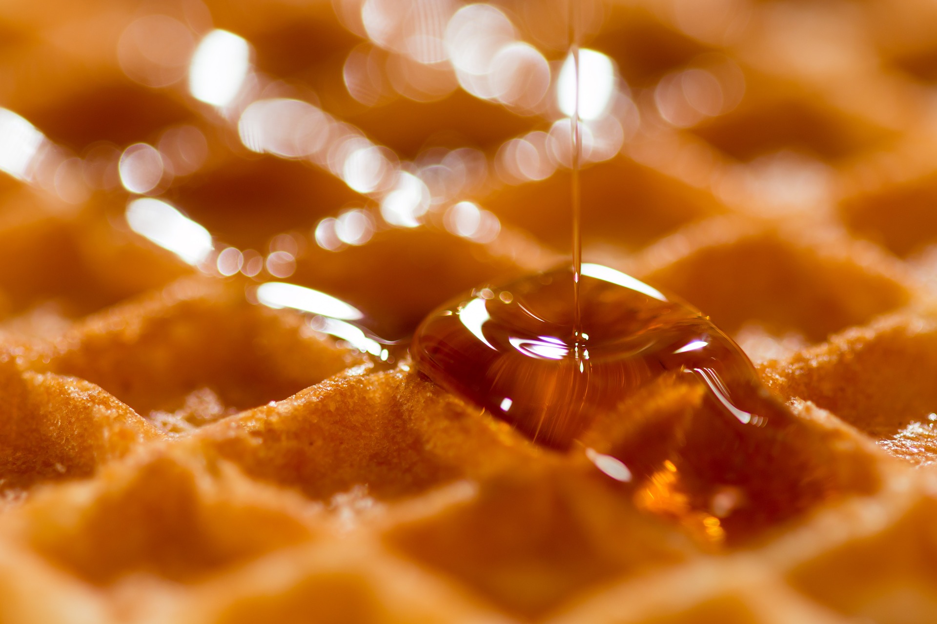 Honey on Waffle