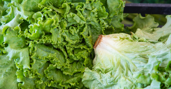 The Best Way To Store Lettuce