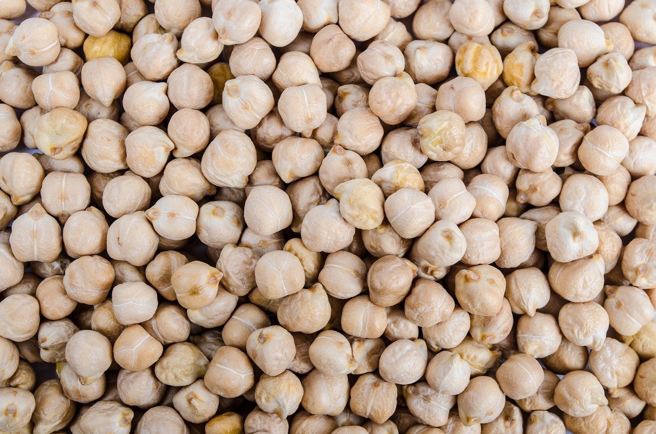 Chickpeas, lots of them