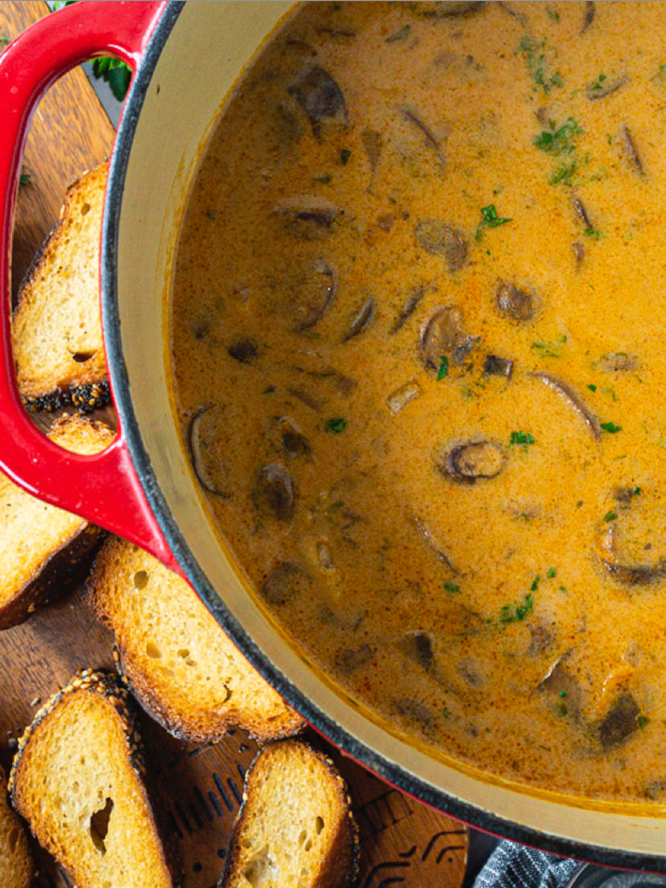 Hungarian Mushroom Soup