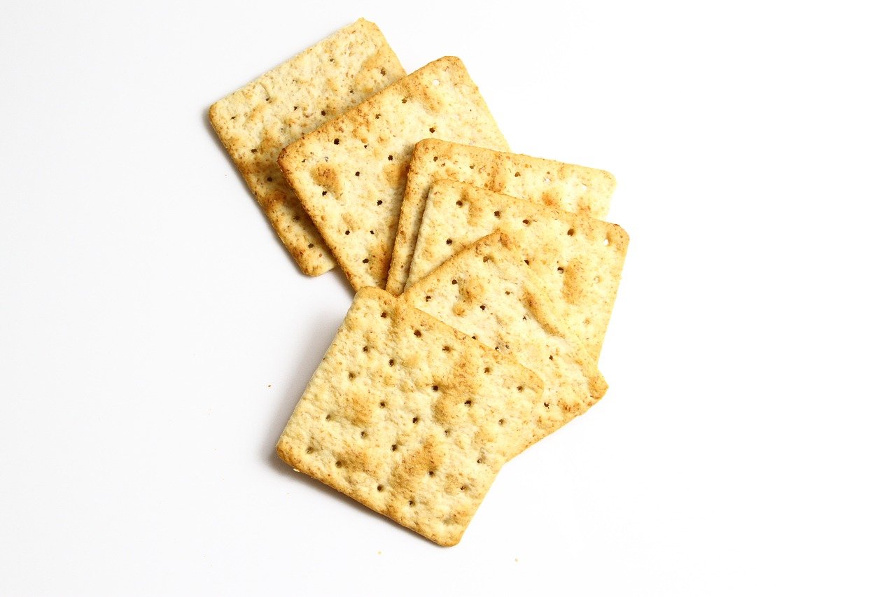 odyssey salty cracker