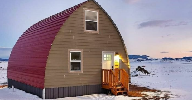 These Tiny House Kits Are Only $1000 | 12 Tomatoes