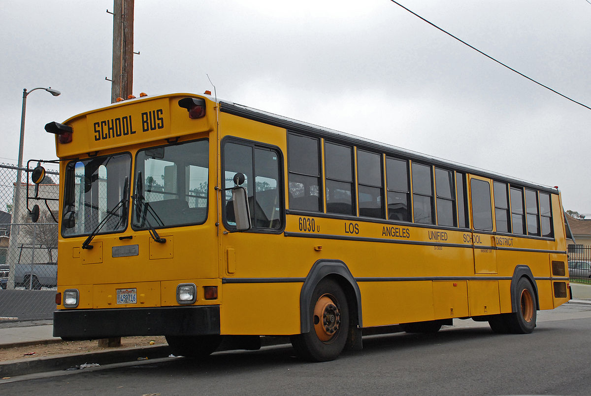 why-do-school-buses-have-those-black-lines-on-their-sides-12-tomatoes