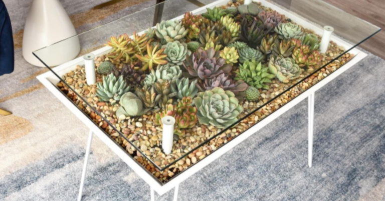 This ‘Living’ Furniture Allows You To Show Off Your Plants In A Unique Way