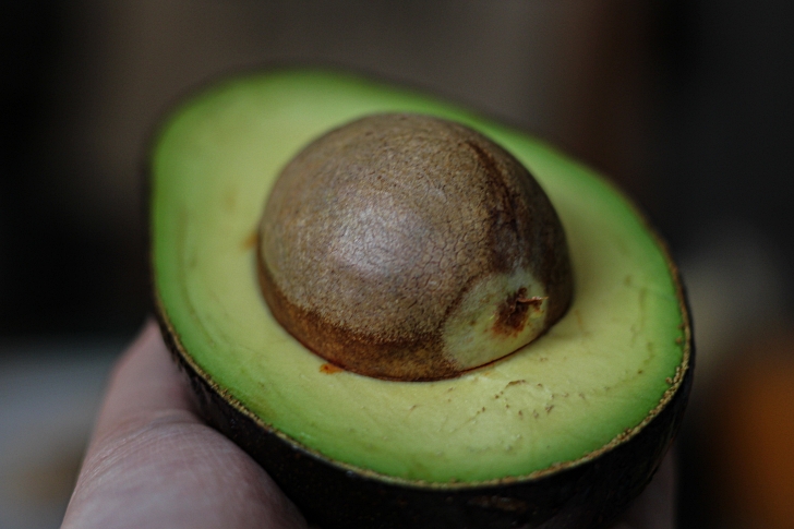 avocado cut in half