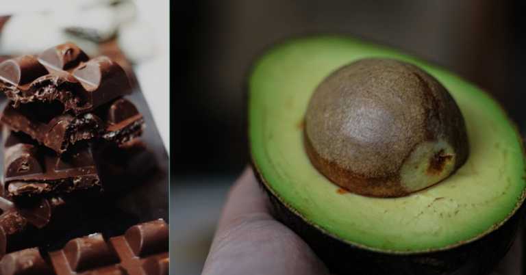 Busting 7 Common Health Myths