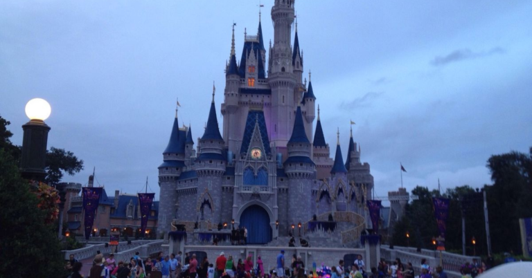 Why You Don’t See Mosquitoes At Disney World