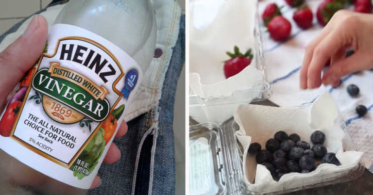 How To Keep Berries Fresh For Up To 2 Weeks
