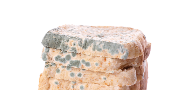 Experts Warn It’s Dangerous To Eat The ‘Clean’ Part Of Moldy Bread