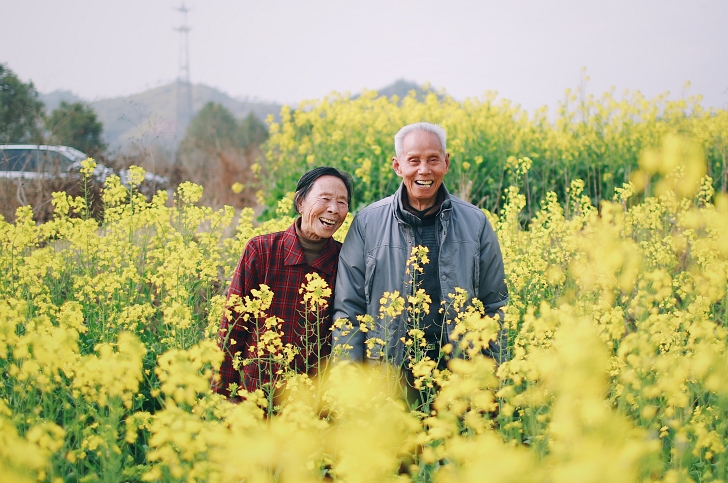elderly couple smiling in a field of yellow flowers