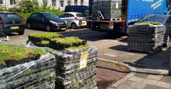 Reporter Goes On Twitter Rant After Getting 5,500 Square Feet Of Plants By Mistake