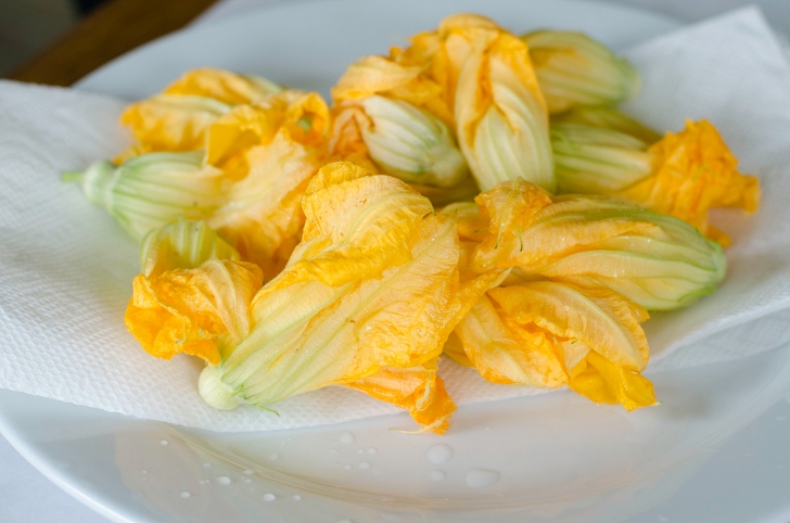 raw squash blossoms