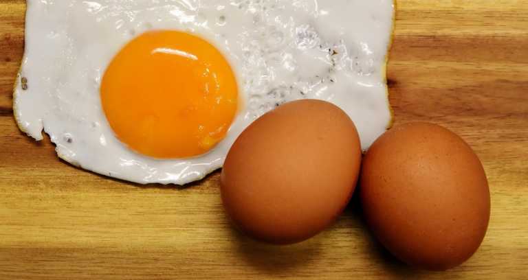 Super Sizzling Facts about Eggs