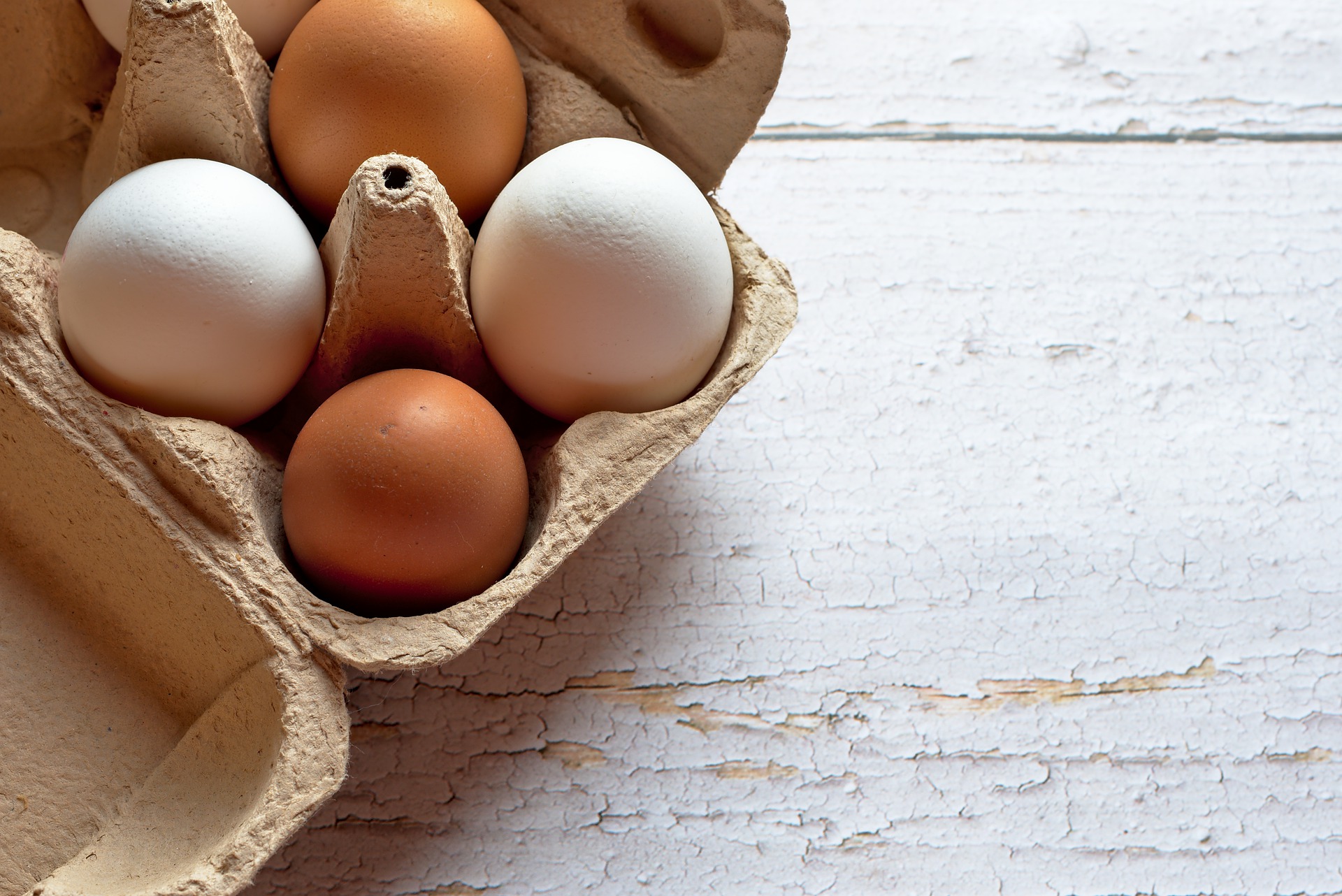 Different Colored Eggs