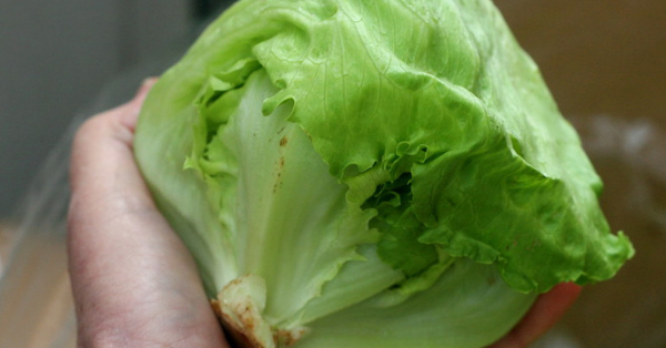 Should You Eat Pink Lettuce?