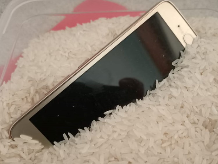 Phone in Rice