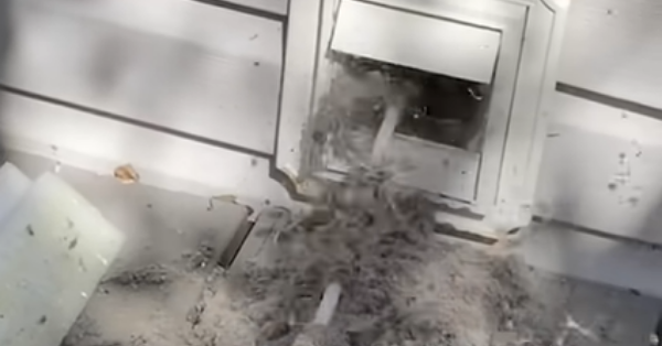 Professional Warns People To Clean Their Dyer Vents