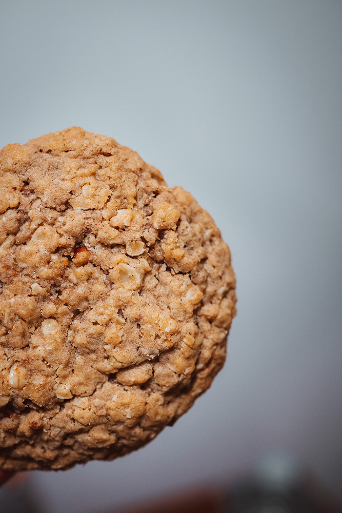 View of oatmeal cookie, close up