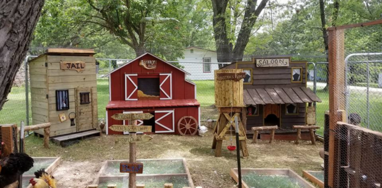 Couple Builds A Wild West Town For Their Chickens