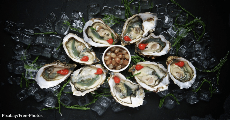 Officials Issue Warning After Increase Of Oyster-Related Illness