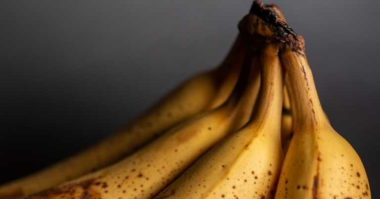 7 Food Storage Myths That Most People Still Think Are True