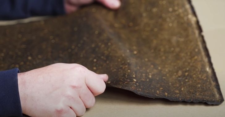 sheet of fruit leather