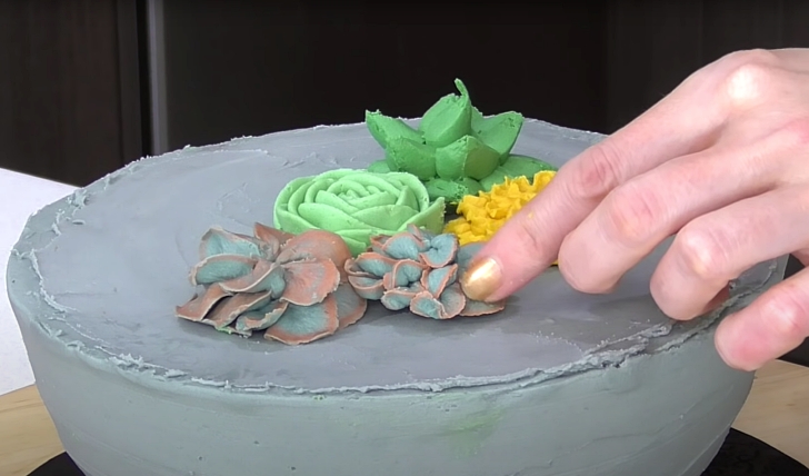 how to make a succulent cake