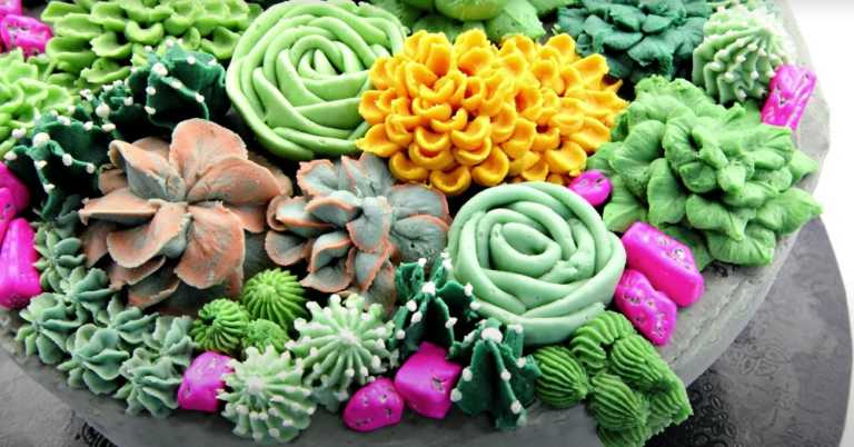 Woman Designs Incredible Succulent Cake