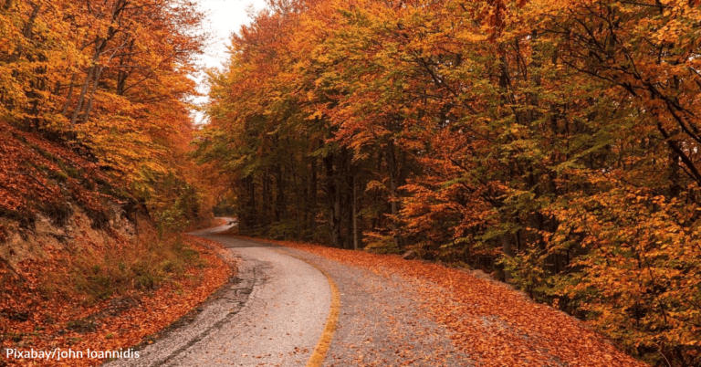 How To Make A DIY Wreath For Fall