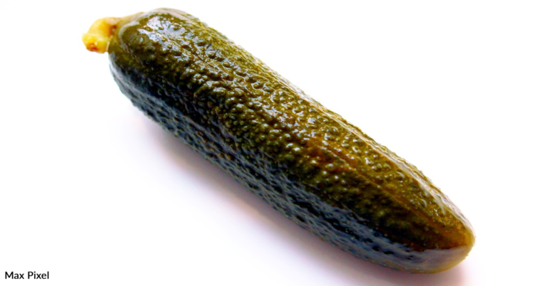 Why You Should Try Putting Pickles In Cheap Beer