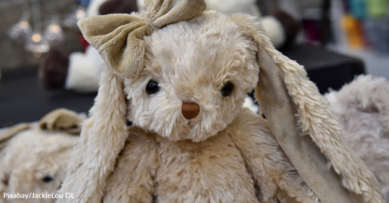 Woman Goes Viral And Launches New Career Fixing Stuffed Animals