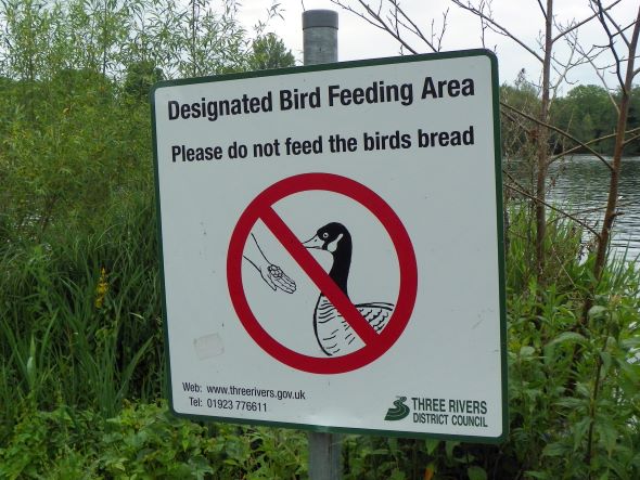 Dont feed birds bread