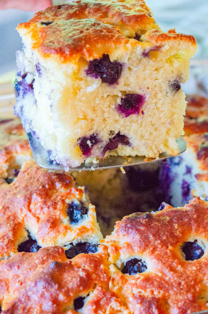 Fluffy Blueberry Biscuits | 12 Tomatoes