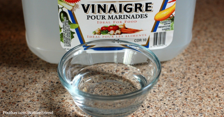 Can You Use Vinegar To Kill Weeds?