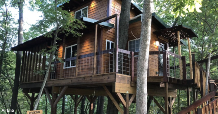 You Can Now Rent A Treehouse Owned By A 9-Year-Old | 12 Tomatoes