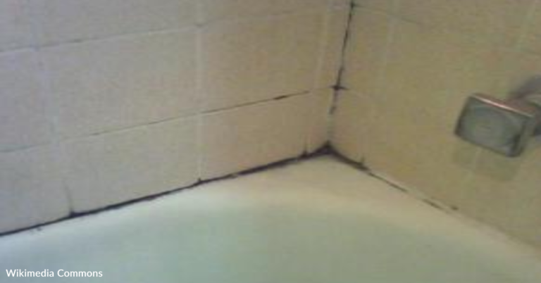 How To Remove Mold From The Bathtub
