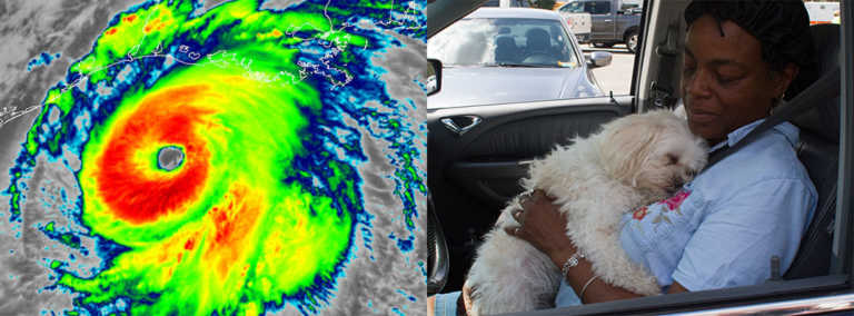 Help Hurricane Ida Victims Now