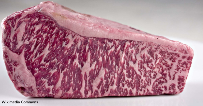 Scientists Created Wagyu Beef Using A 3D-Printer